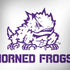 Texas Christian University Horned Frogs TCU MacBook Skins